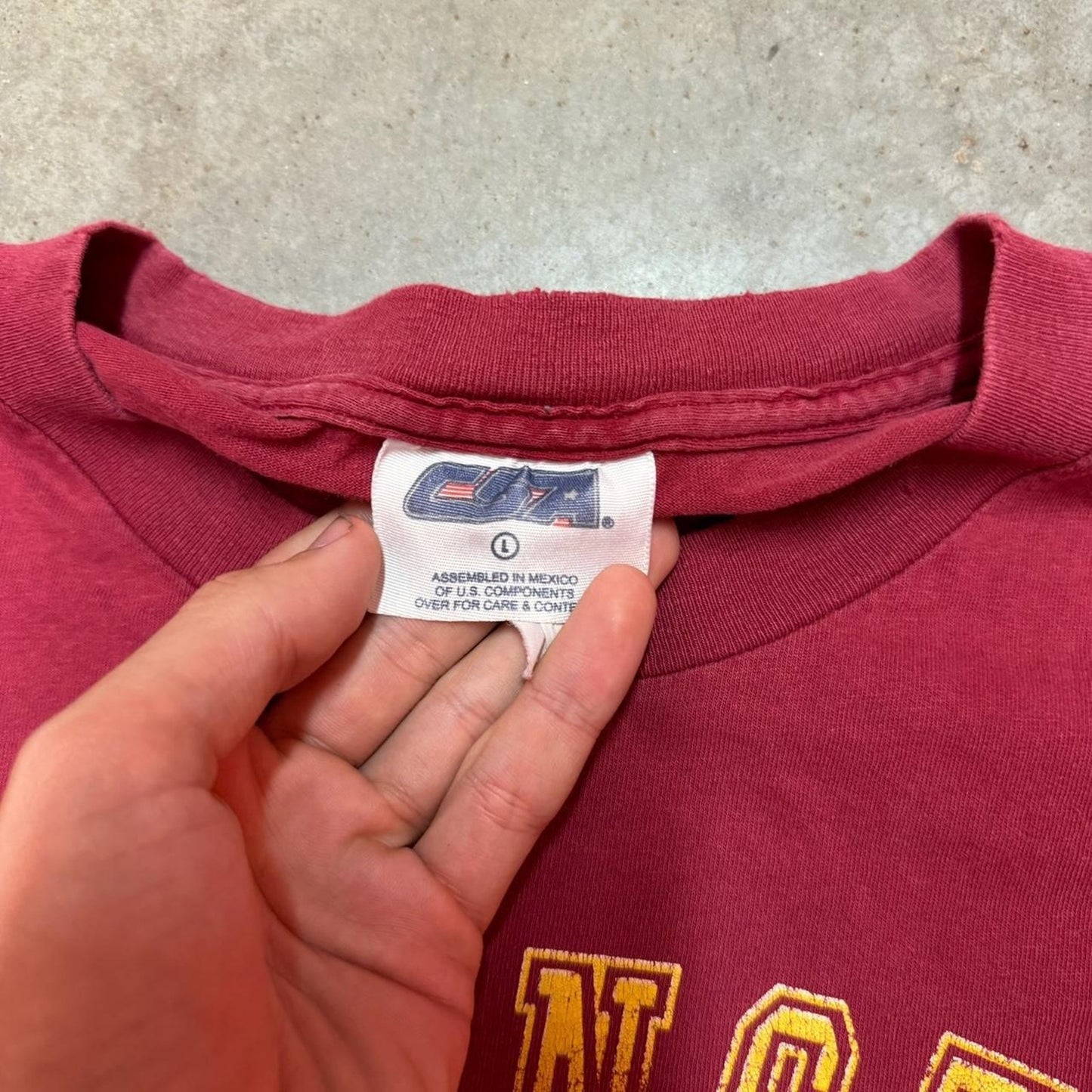 Distressed taz washington redskins tee